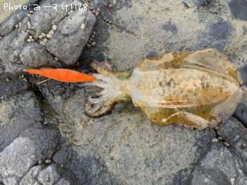 �����ꥤ��