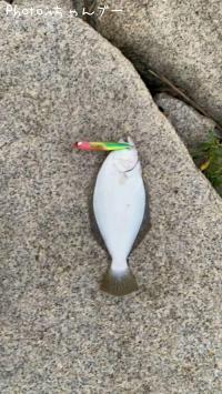 �ҥ��ʥ�����