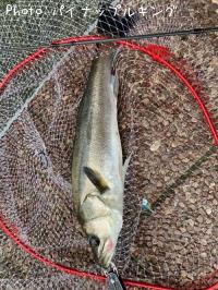 �����Х�