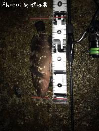 �����ϥ�