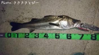 �����Х�