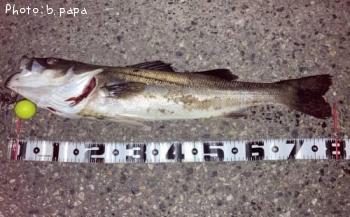 �����Х�