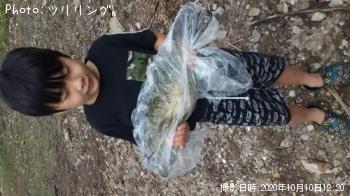 ���⡼��ޥ����Х�