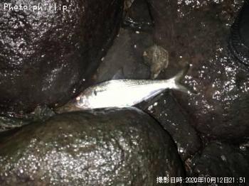 ���Υ���