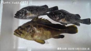 ���ޥ���