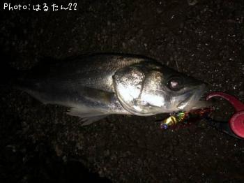 �����Х�