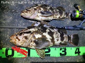 �����Υ���Х�