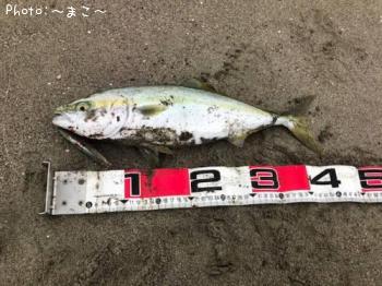 �ҥ�ᡢ�ޥ��������ʥ�