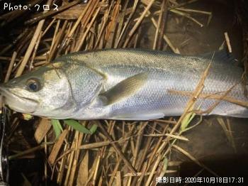 �����Х�����ɤ