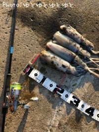 �����ꥤ��