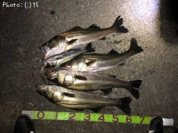 �����Х�