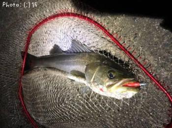 �����Х�