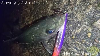 �����Х�