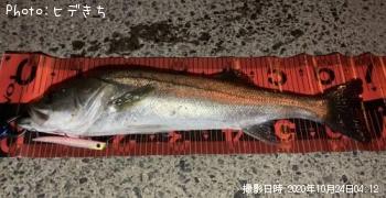 �����Х�