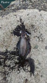 �����ꥤ��