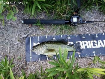 �֥�å��Х�