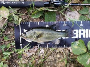 �֥�å��Х�