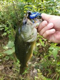 �֥�å��Х�