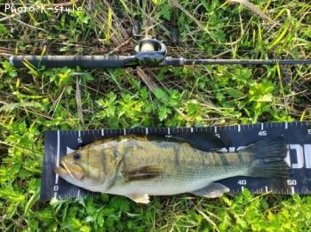 �֥�å��Х�