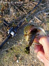 �֥�å��Х�