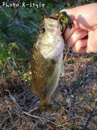 �֥�å��Х�