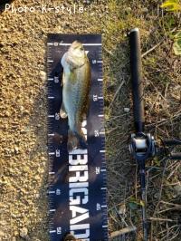 �֥�å��Х�