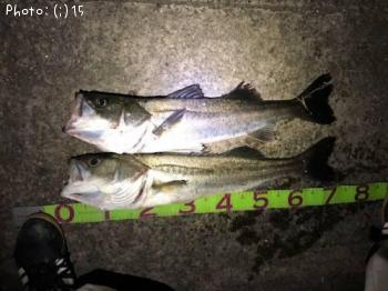 �����Х�