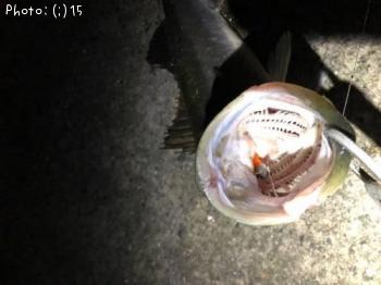 �����Х�