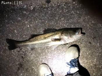 �����Х�