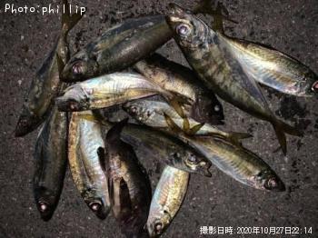 ��������Х�