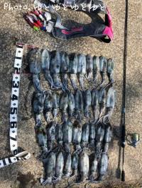 �����ꥤ��