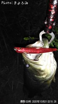 �֥�å��Х�