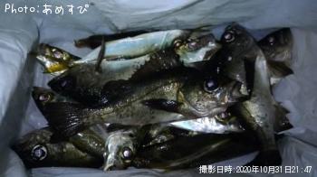 ��������Х�