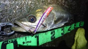 �����Х�