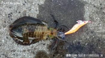 �����ꥤ��