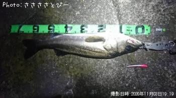 �����Х�