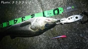 �����Х�