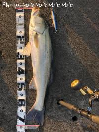 �����Х�