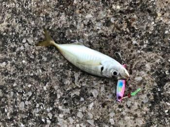 �����Х�������