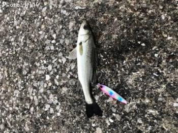 �����Х�������