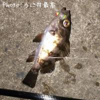 ¥á¥Ð¥ë