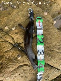 �����ʥ�