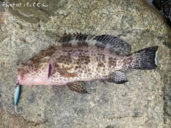 �������ϥ�