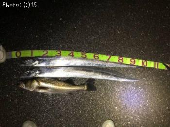 ¥¿¥Á¥¦¥ª¡¢¥·¡¼¥Ð¥¹