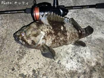��饽��