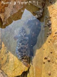 �����ʥ�