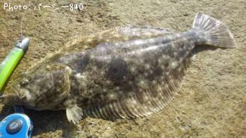 �ҥ��ʥ�����