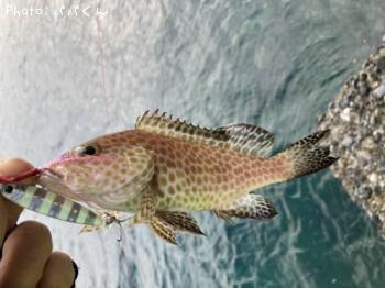 �������ϥ�