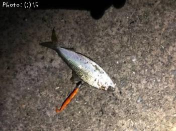 ���Υ���