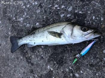 �����Х�